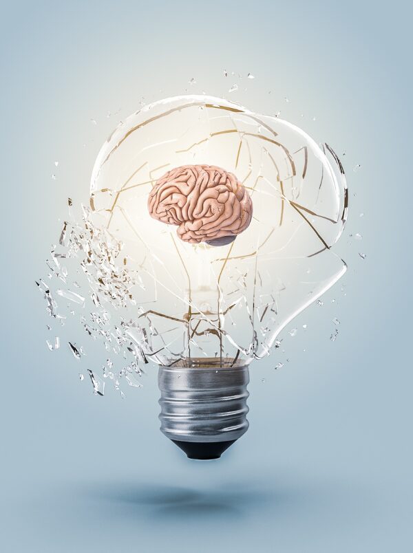 bulb brain